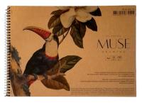 Альбом для малювання "MUSE" А4/30арк./PB-SC-030-318/ КРАФТ.обкл. (150г/м2) Пруж. бок (6/36)