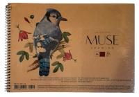 Альбом для малювання "MUSE" А4/30арк./PB-SC-030-310/ карт. обкл. (150г/м2) Пруж. бок (1/36)
