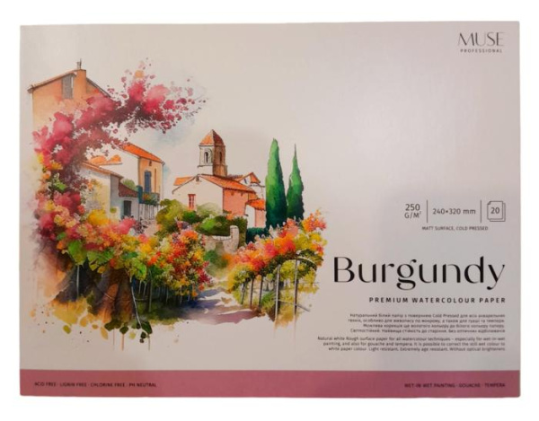Альбом для акварелі "MUSE" А4/20арк./PB-GB-020-101/ склейка, 250г/м2, (4)